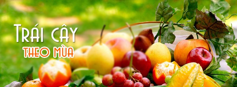 thiết kế website bán nông sản